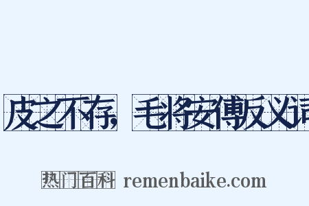 皮之不存，毛将安傅反义词是什么意思的图片